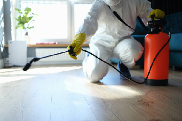 Reliable Blood Cleanup contractor in Silver Lake, FL by Trauma Clean Pros